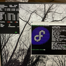 The Azimuthal Anchoring Switch, desktop edition